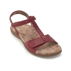 Fashion Lavande Comfort Sandals