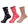 Shop Point Zero 3 Pairs Of Socks For Kids Size 5-8 Girls Accessories