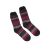 Hot Polar Paws - Socks For Women Socks